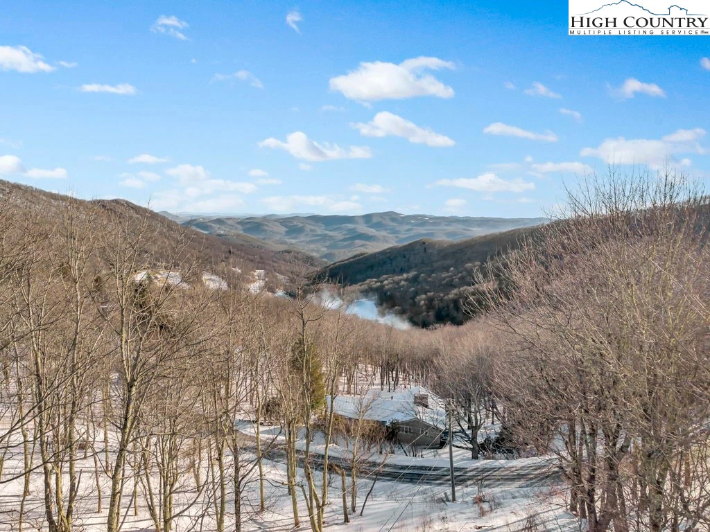 Image number 3 for the current listing