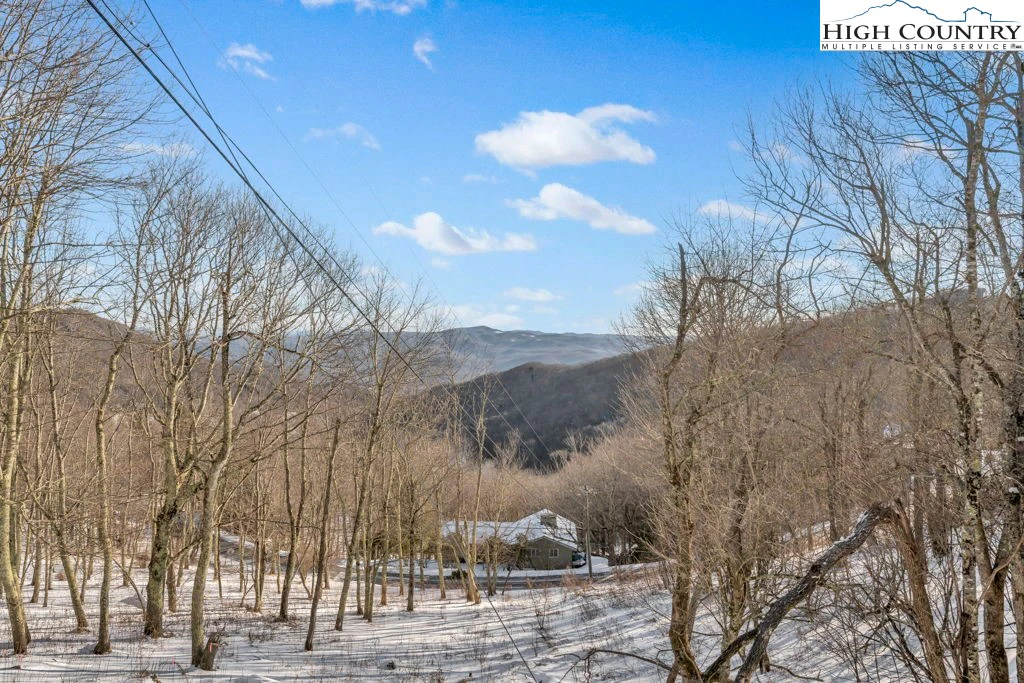Image number 4 for the current listing