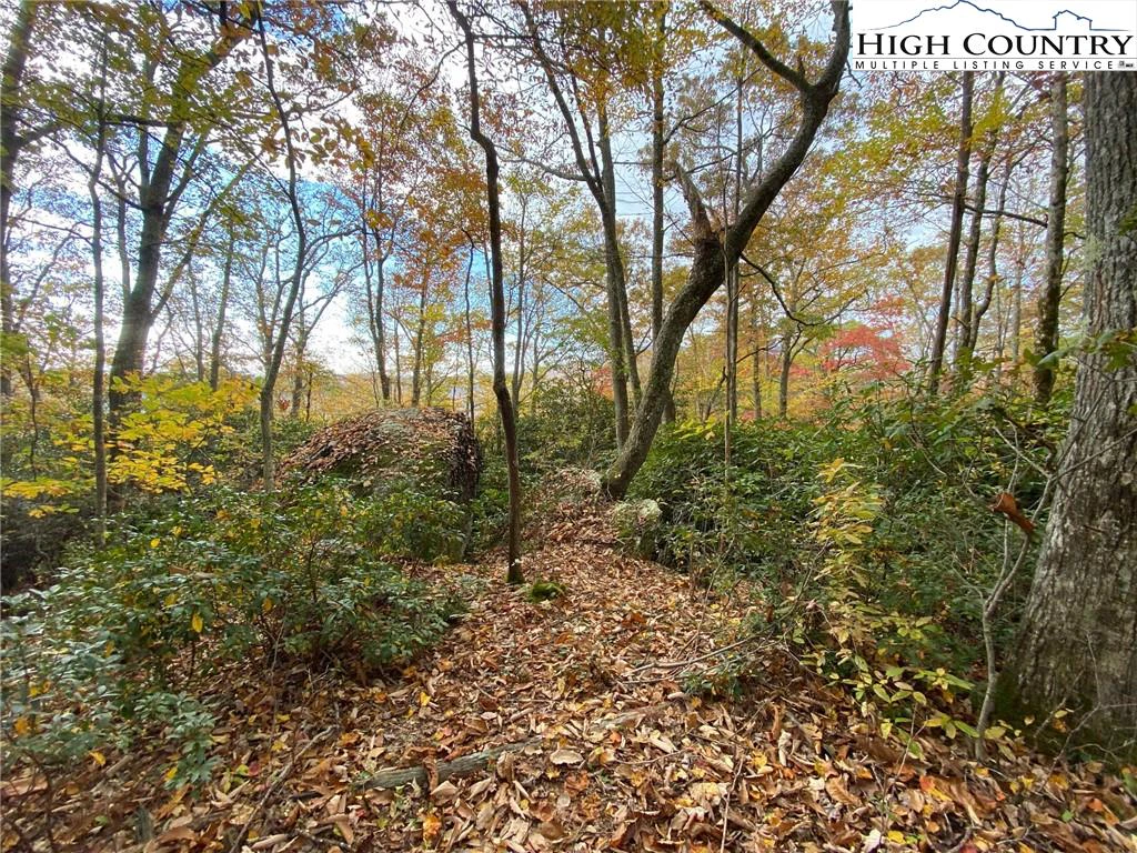Image number 1 for the current listing