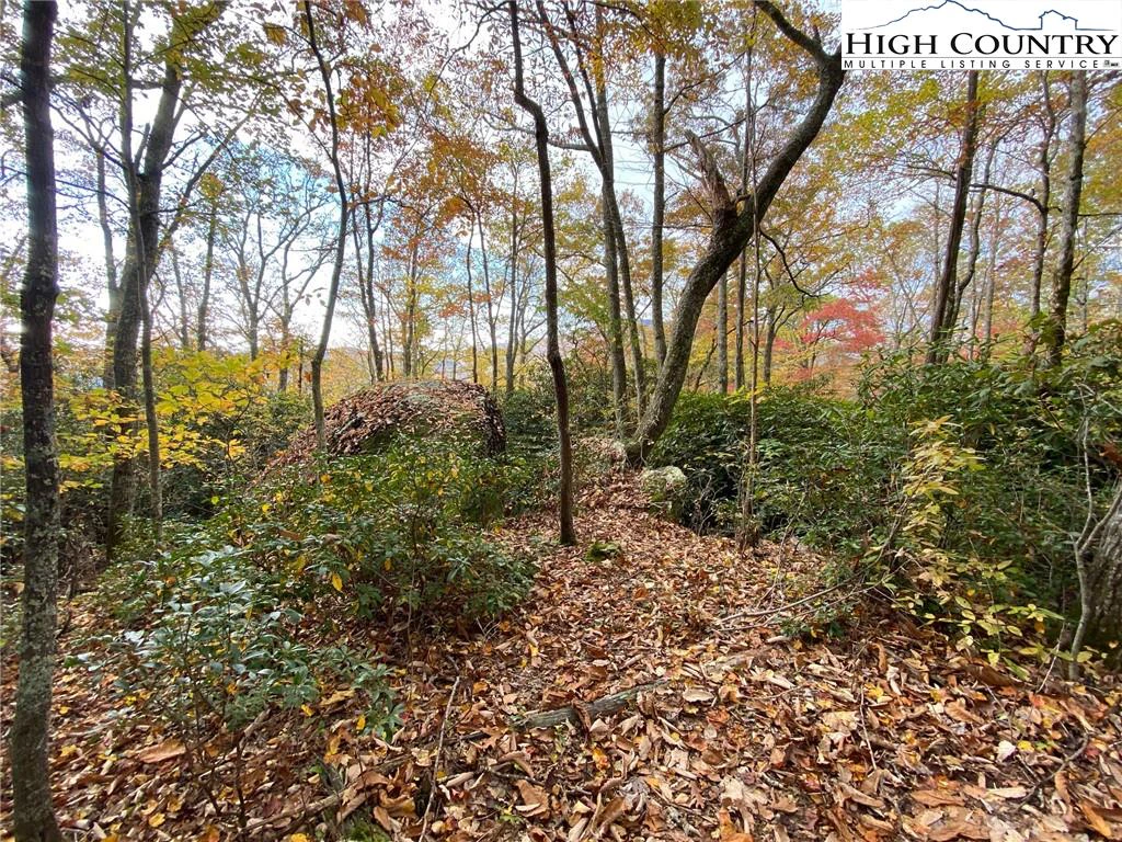 Image number 3 for the current listing