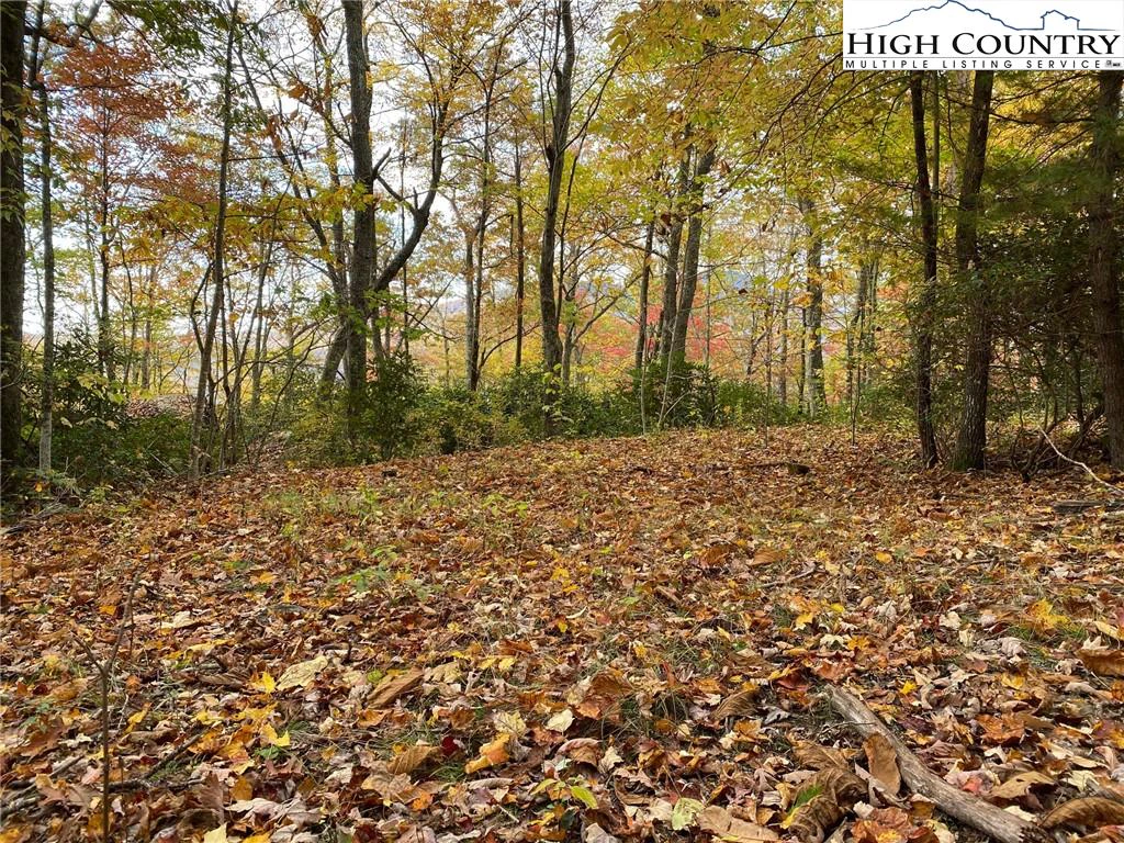 Image number 4 for the current listing