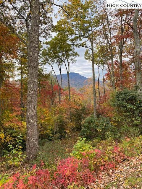 Image number 9 for the current listing