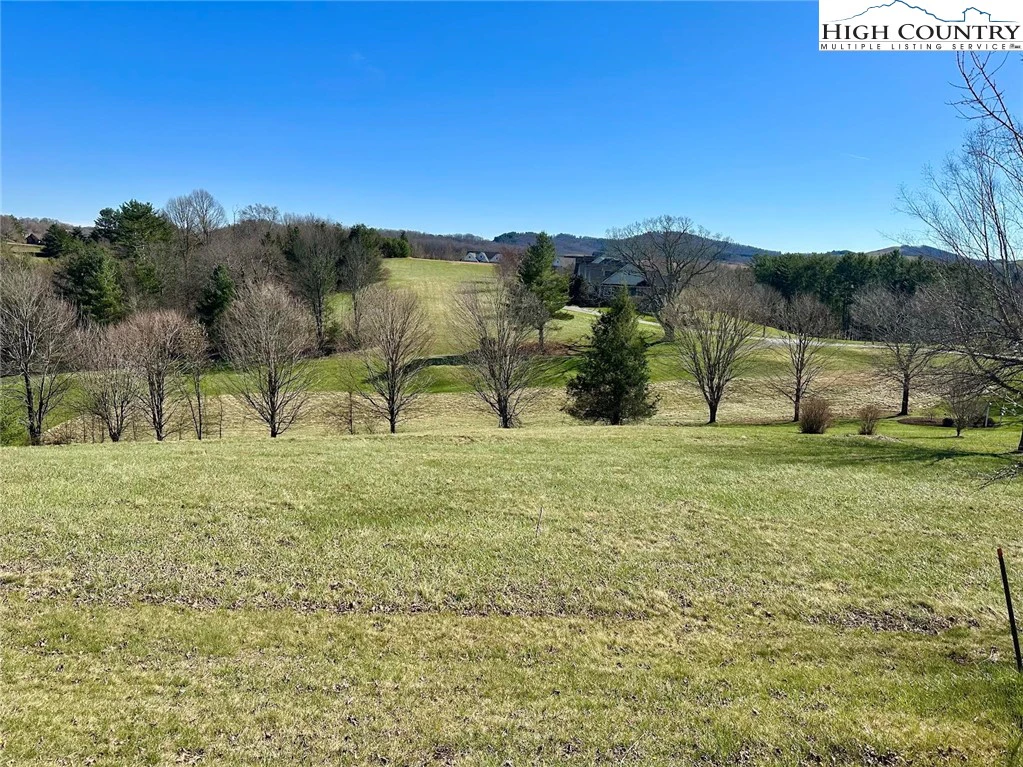 Image number 3 for the current listing