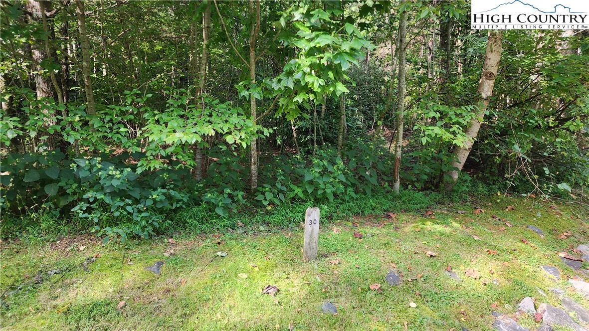 Image number 10 for the current listing
