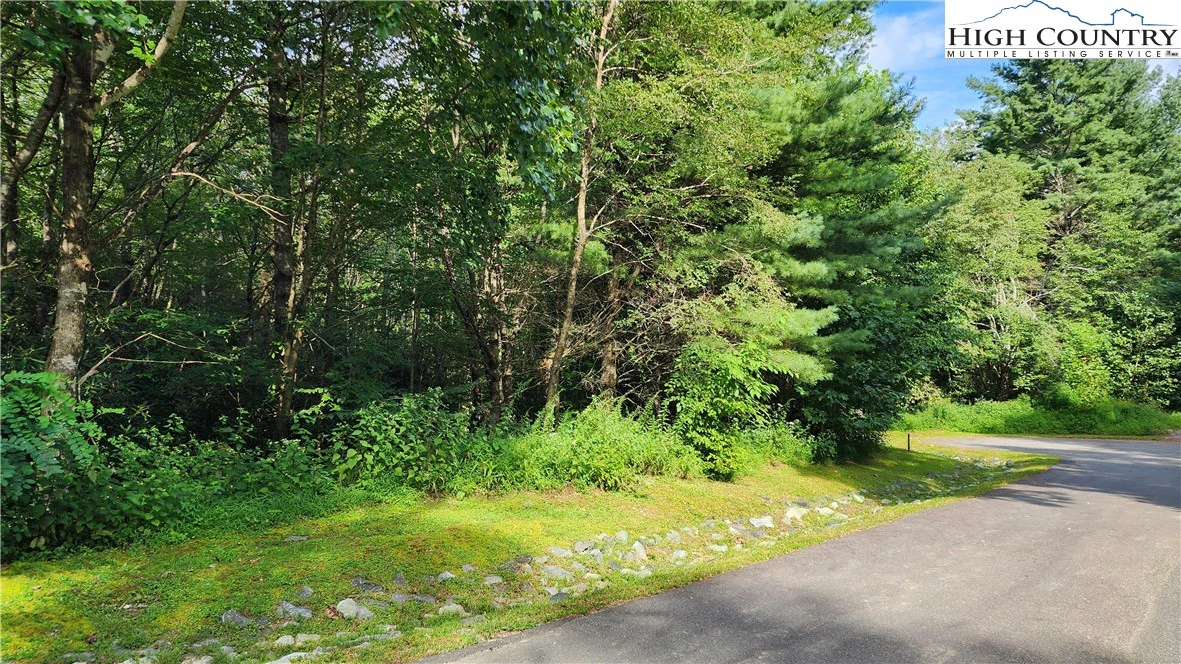 Image number 4 for the current listing