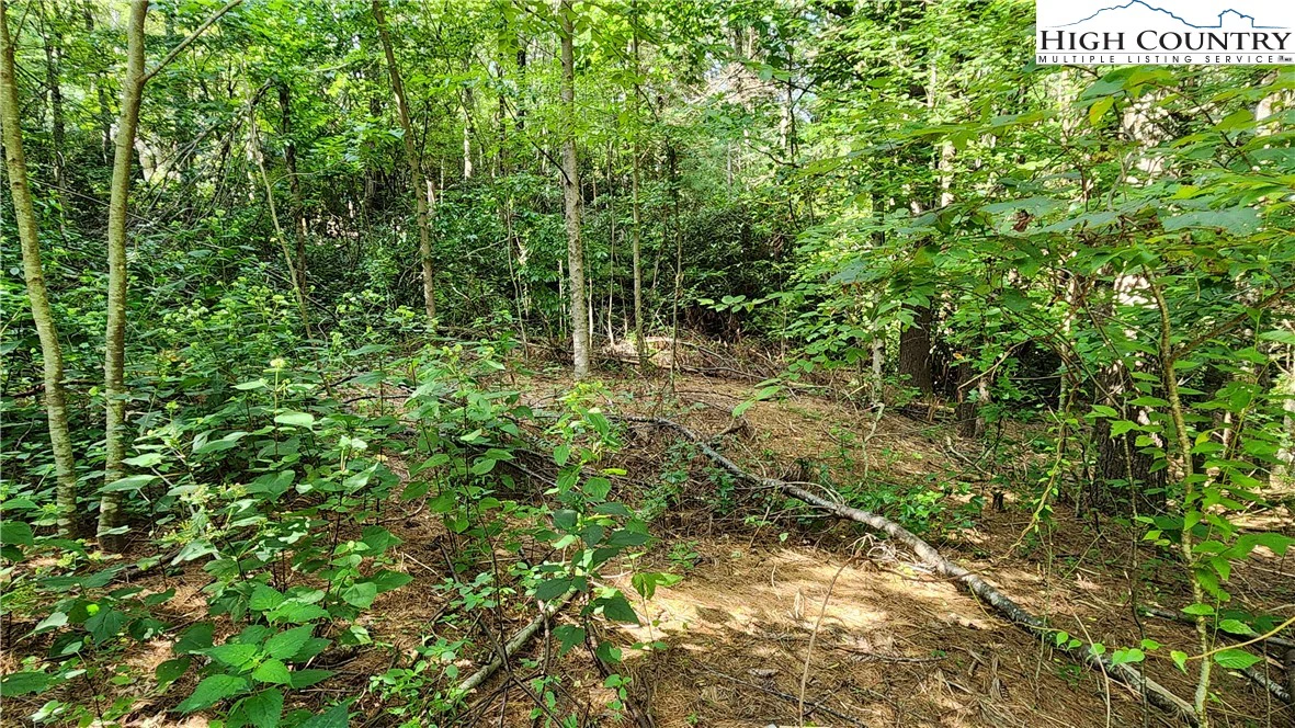 Image number 5 for the current listing