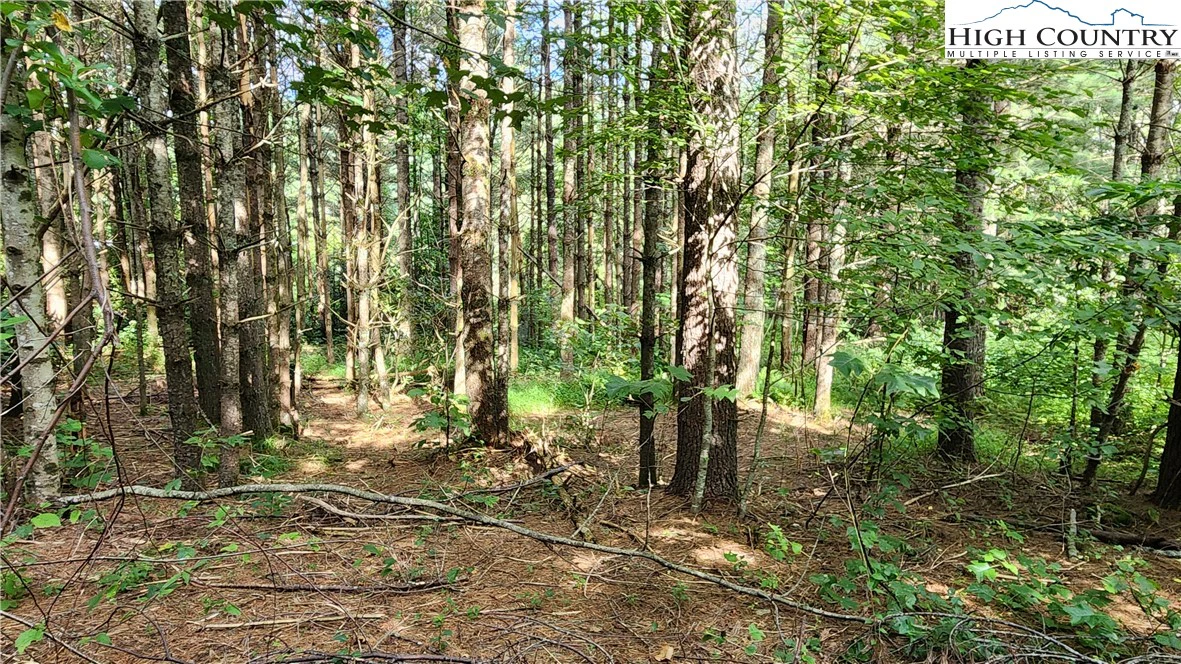 Image number 6 for the current listing
