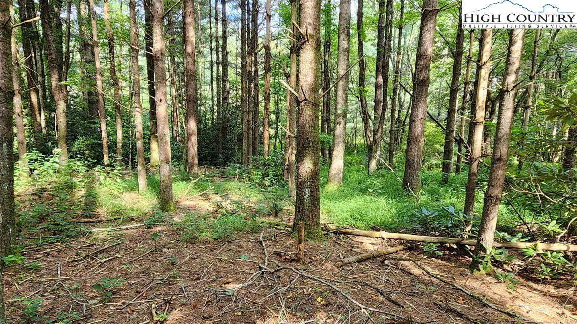 Image number 3 for the current listing