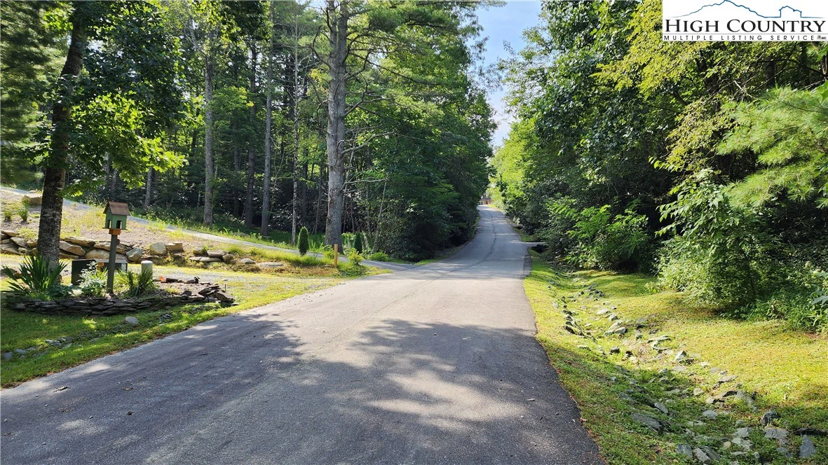 Image number 7 for the current listing