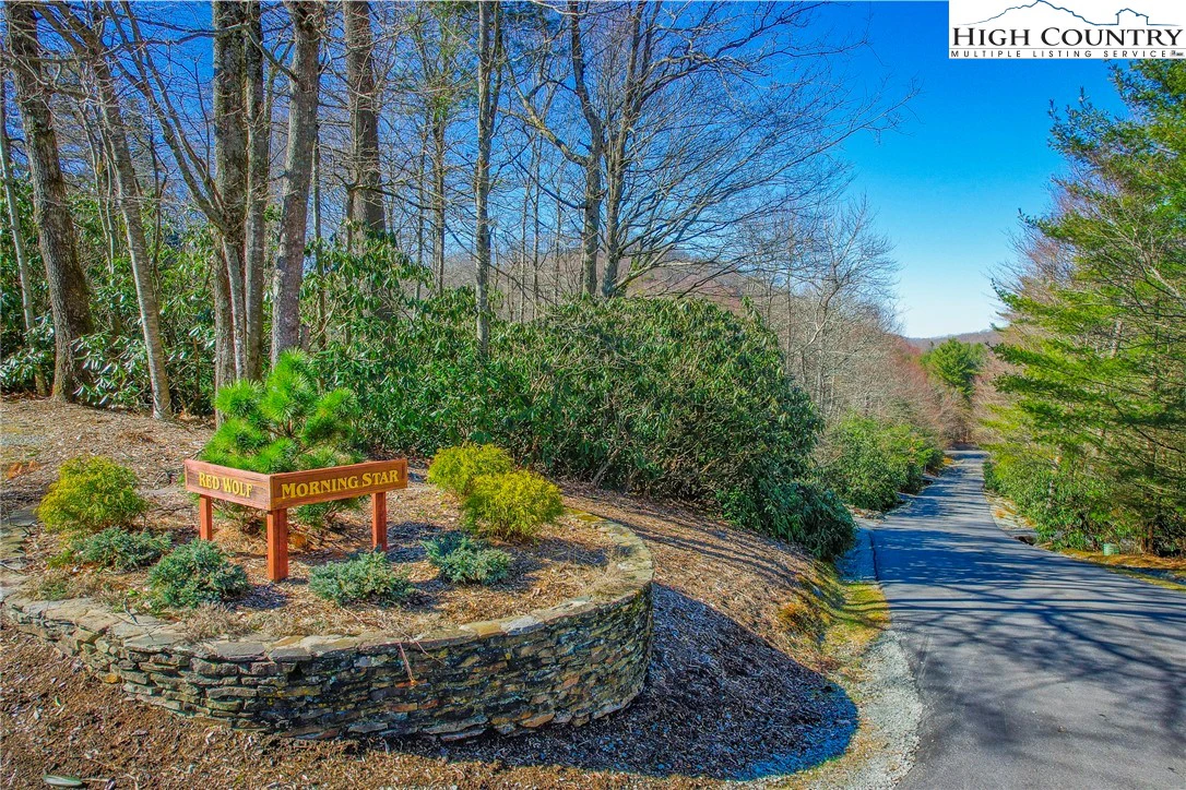 Image number 8 for the current listing