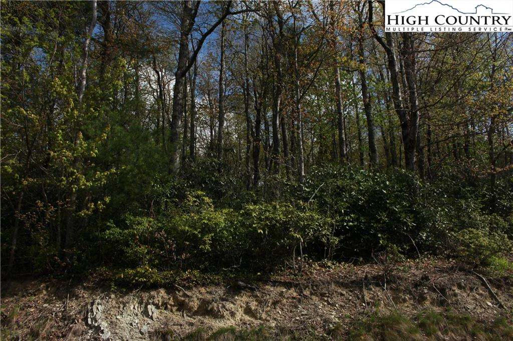 Image number 1 for the current listing
