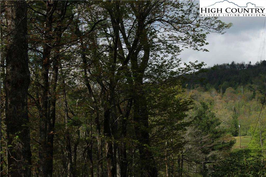 Image number 9 for the current listing