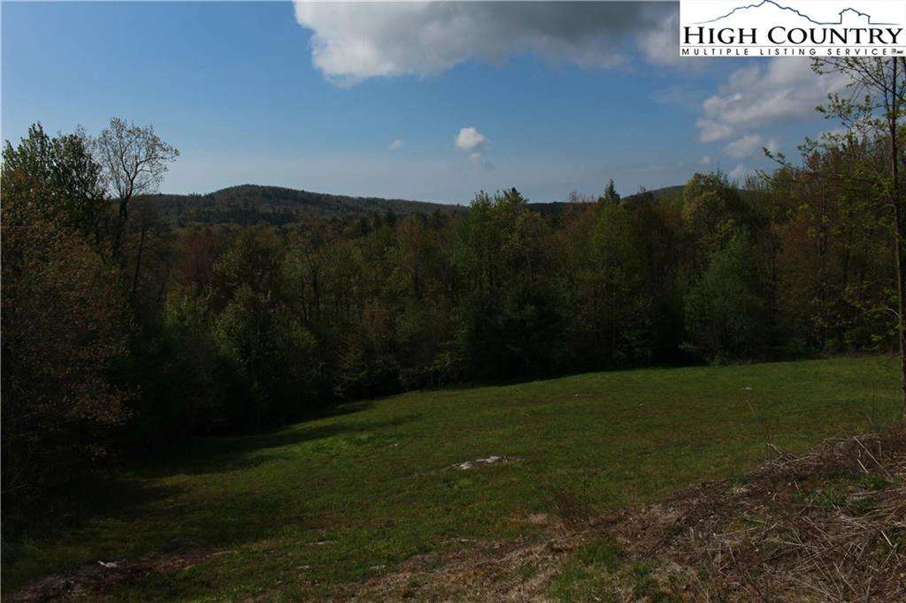 Image number 7 for the current listing