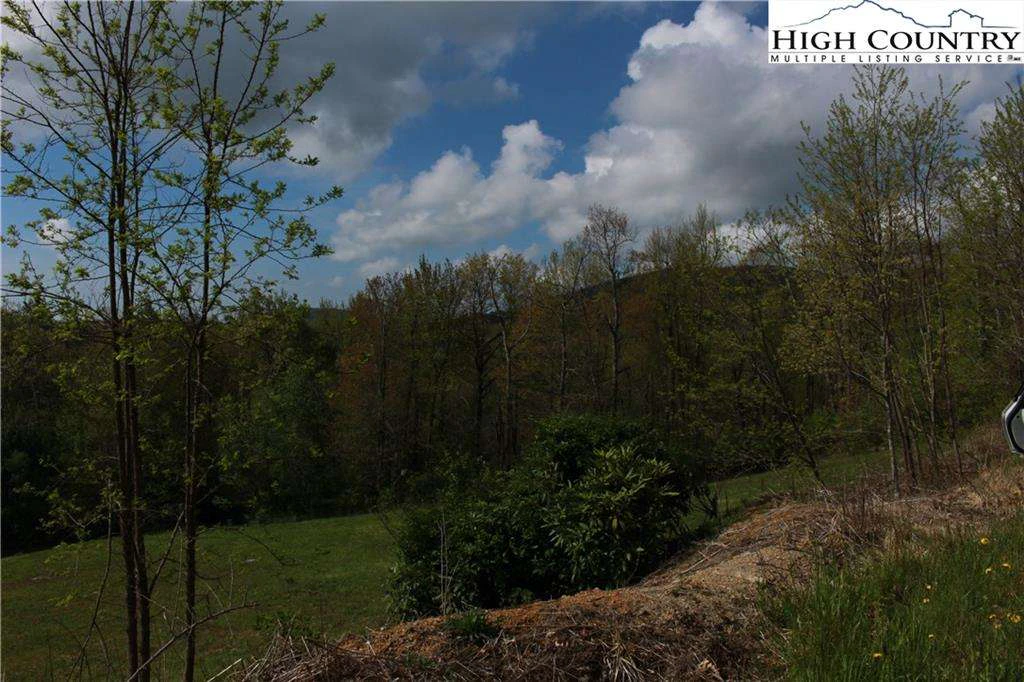 Image number 6 for the current listing