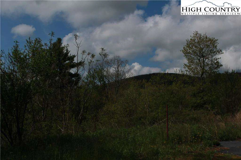 Image number 3 for the current listing