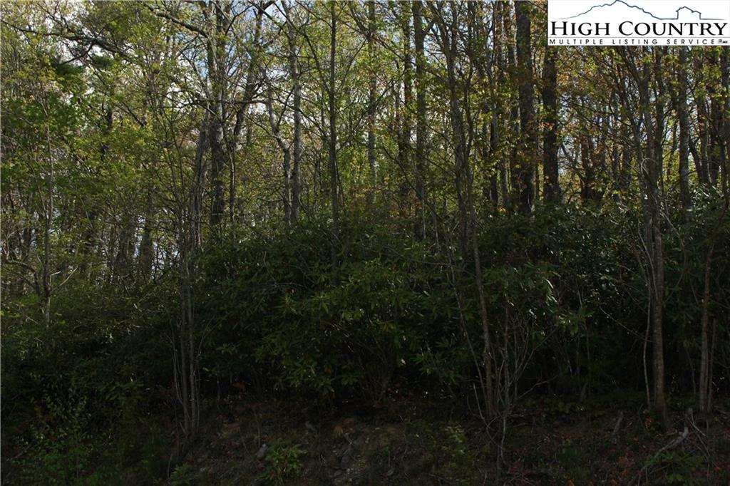 Image number 14 for the current listing