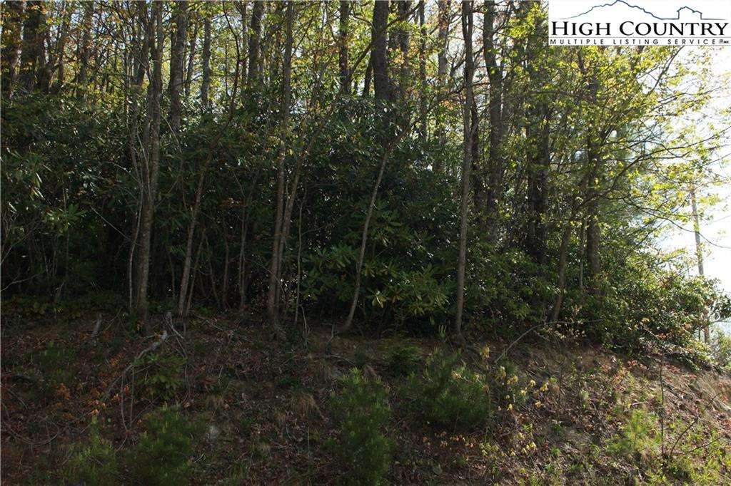 Image number 12 for the current listing