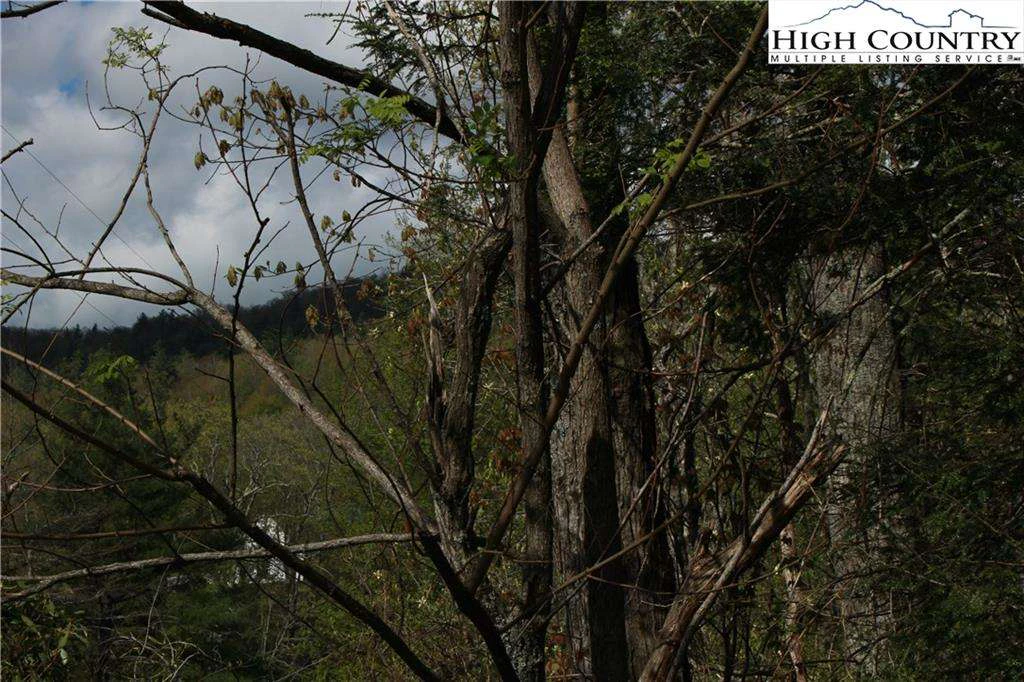 Image number 11 for the current listing