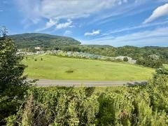 Image number 1 for the current listing