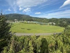 Image number 6 for the current listing