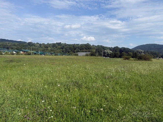 Image number 3 for the current listing