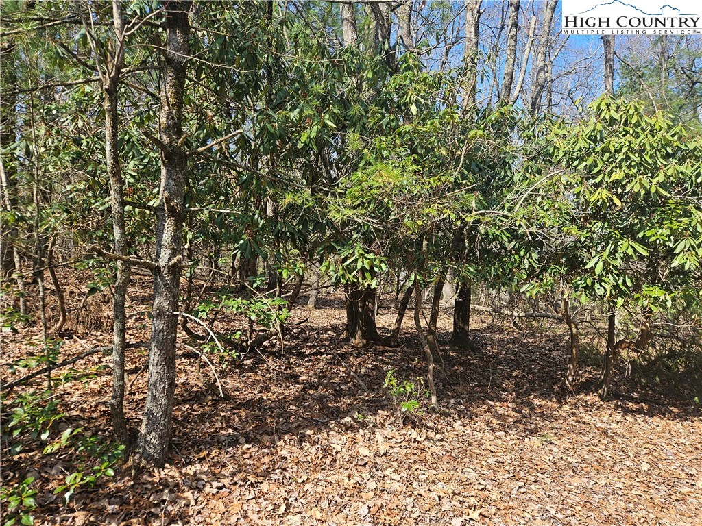 Image number 1 for the current listing