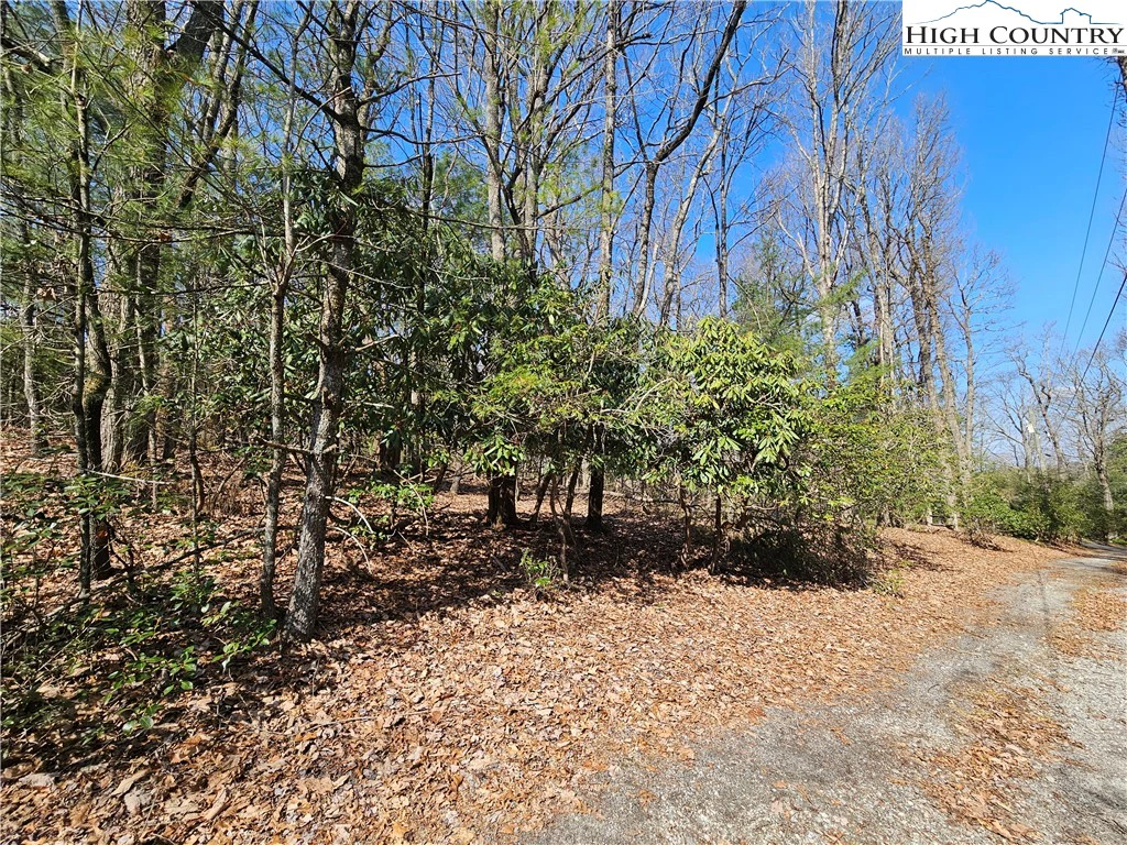 Image number 16 for the current listing