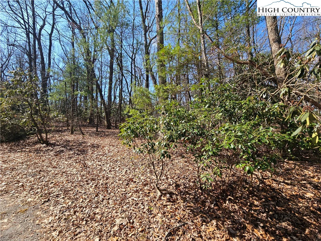 Image number 15 for the current listing