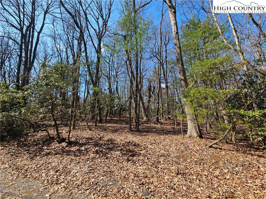 Image number 14 for the current listing