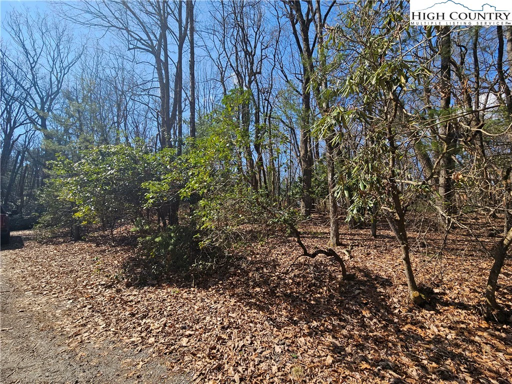 Image number 13 for the current listing