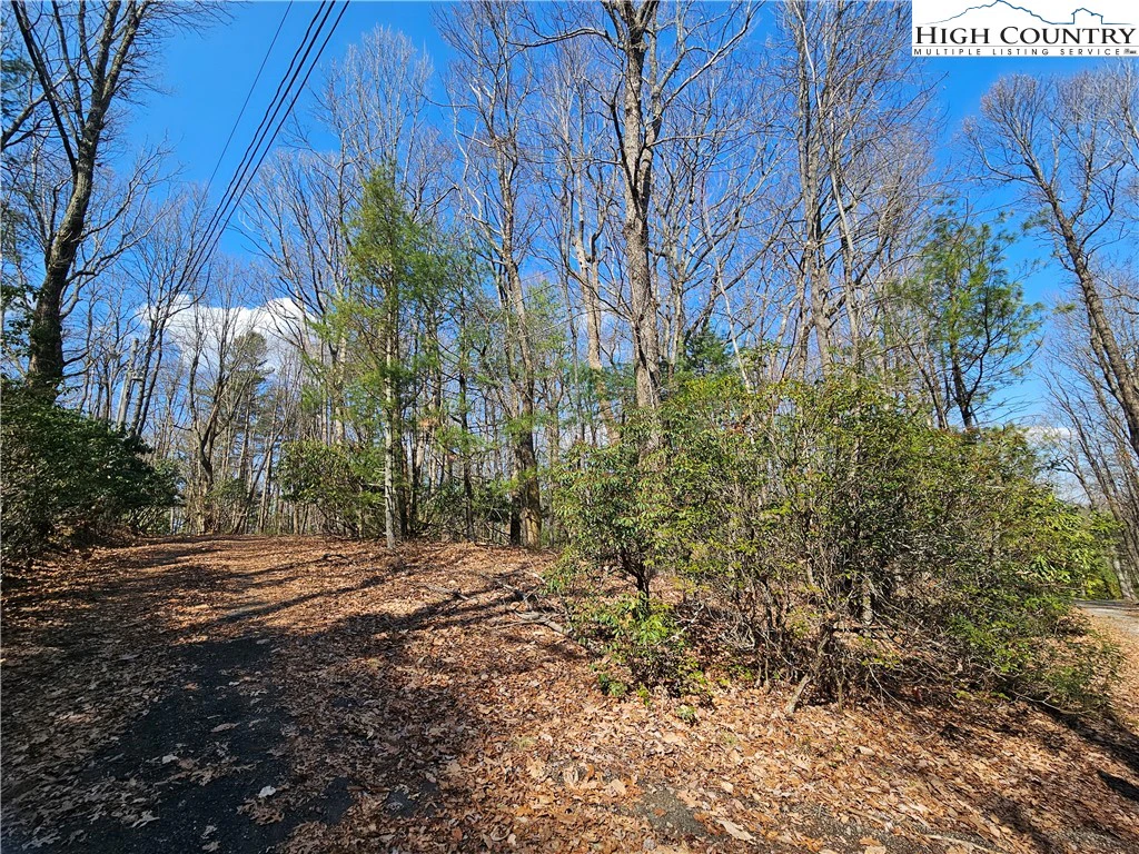 Image number 12 for the current listing