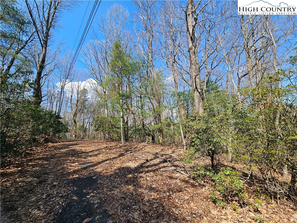 Image number 11 for the current listing