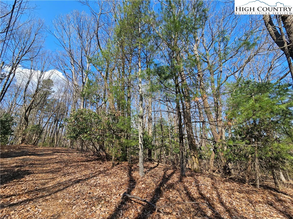 Image number 2 for the current listing