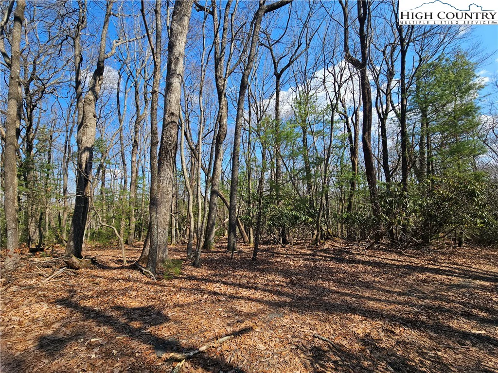 Image number 9 for the current listing