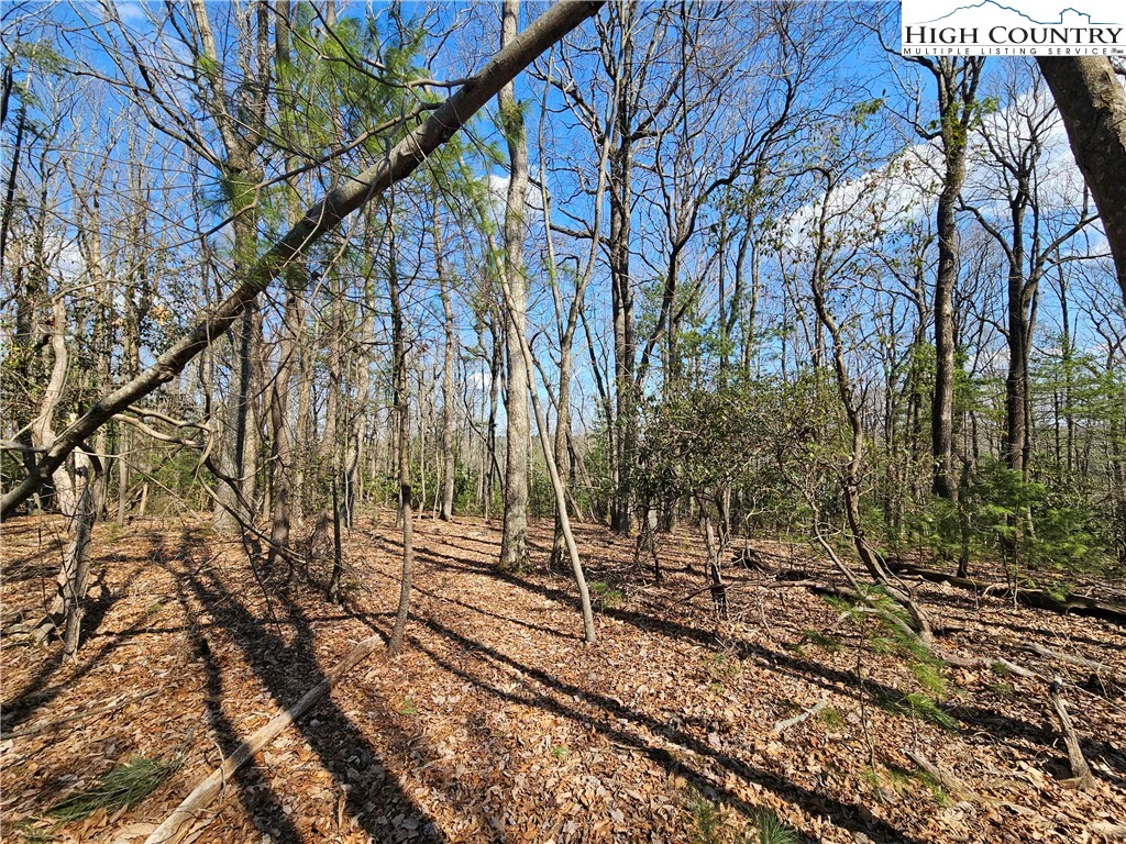 Image number 7 for the current listing