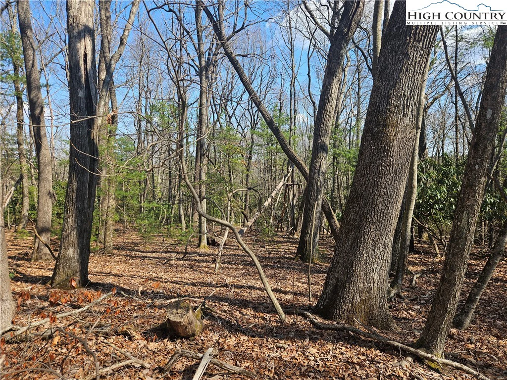 Image number 3 for the current listing