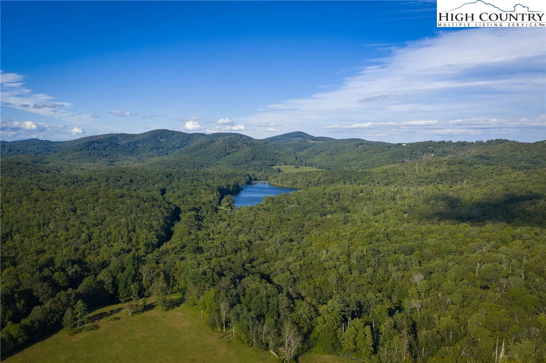 Image number 14 for the current listing