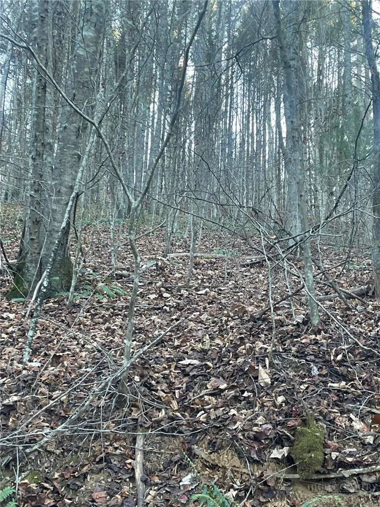 Image number 1 for the current listing