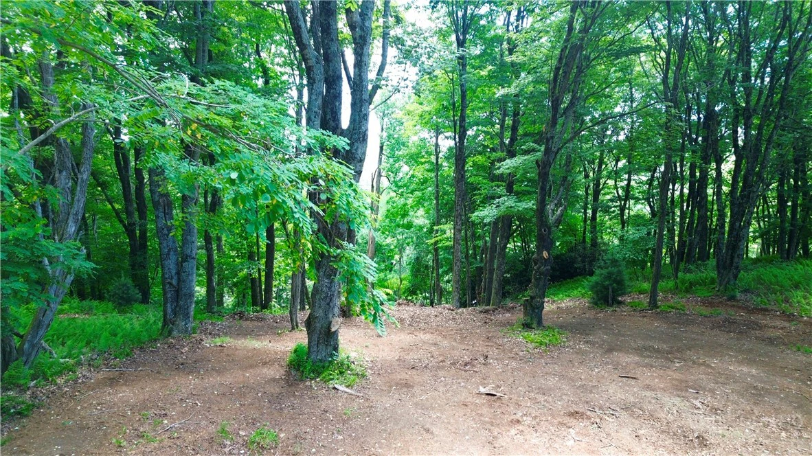 Image number 2 for the current listing