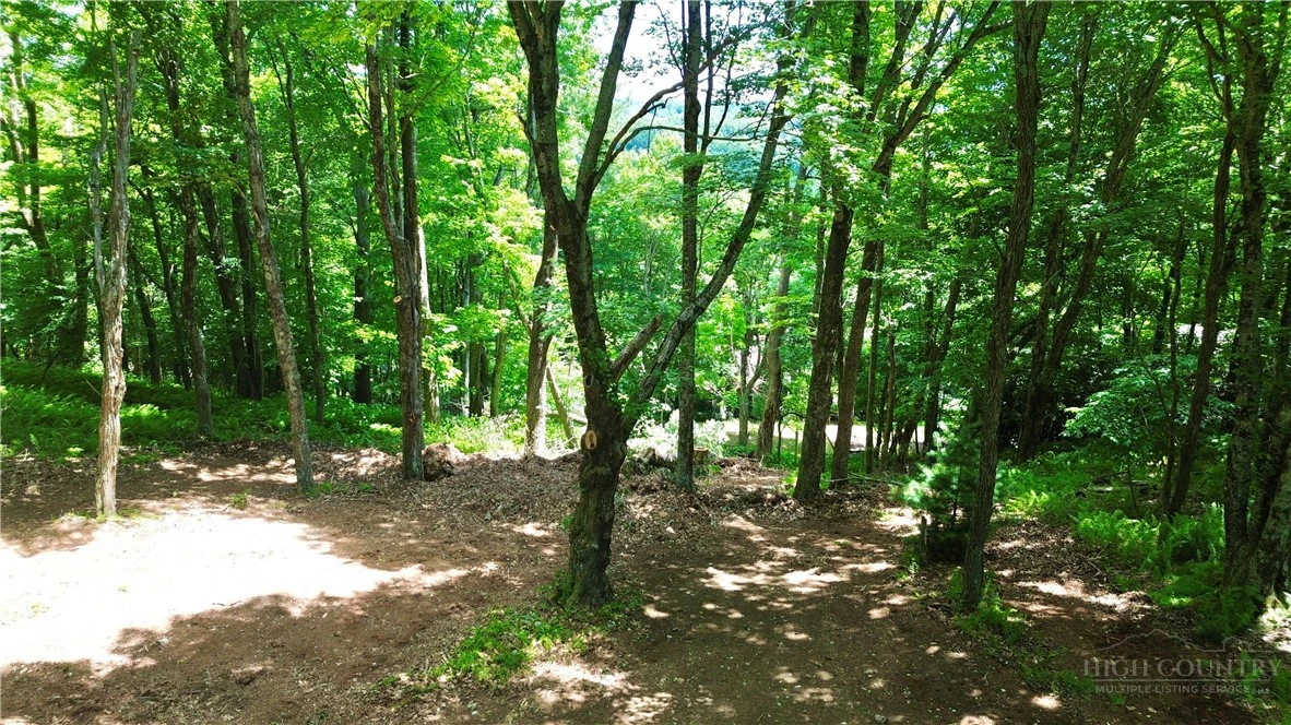 Image number 3 for the current listing