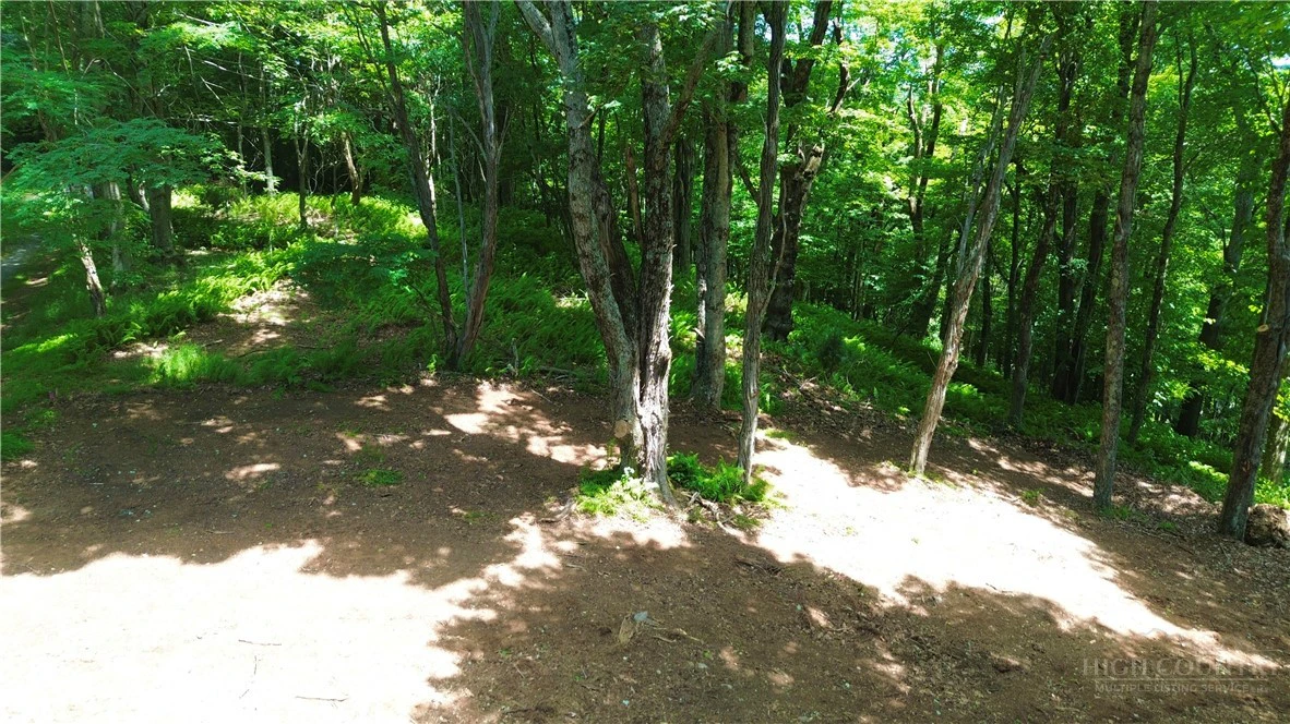 Image number 4 for the current listing