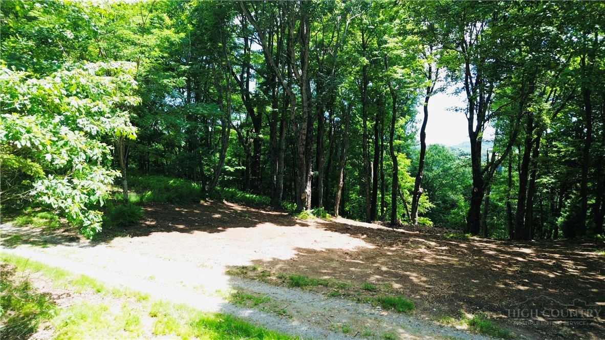 Image number 5 for the current listing