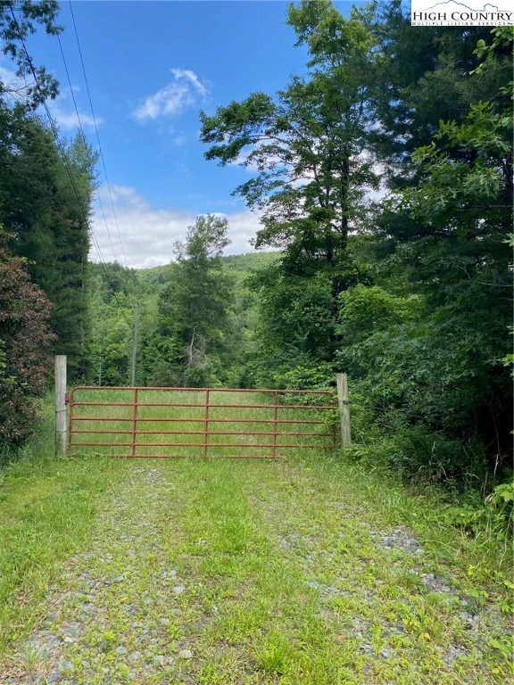 Image number 1 for the current listing