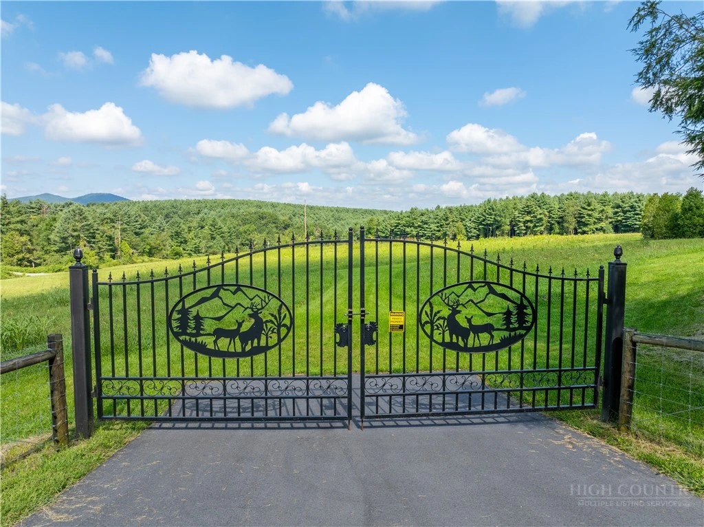 Image number 1 for the current listing