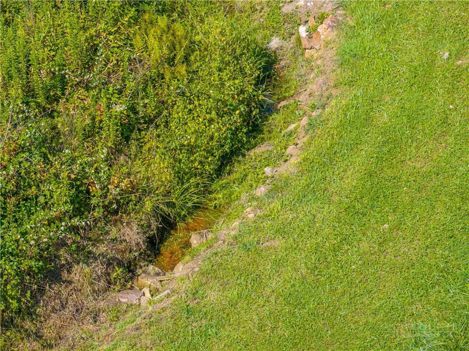 Image number 2 for the current listing