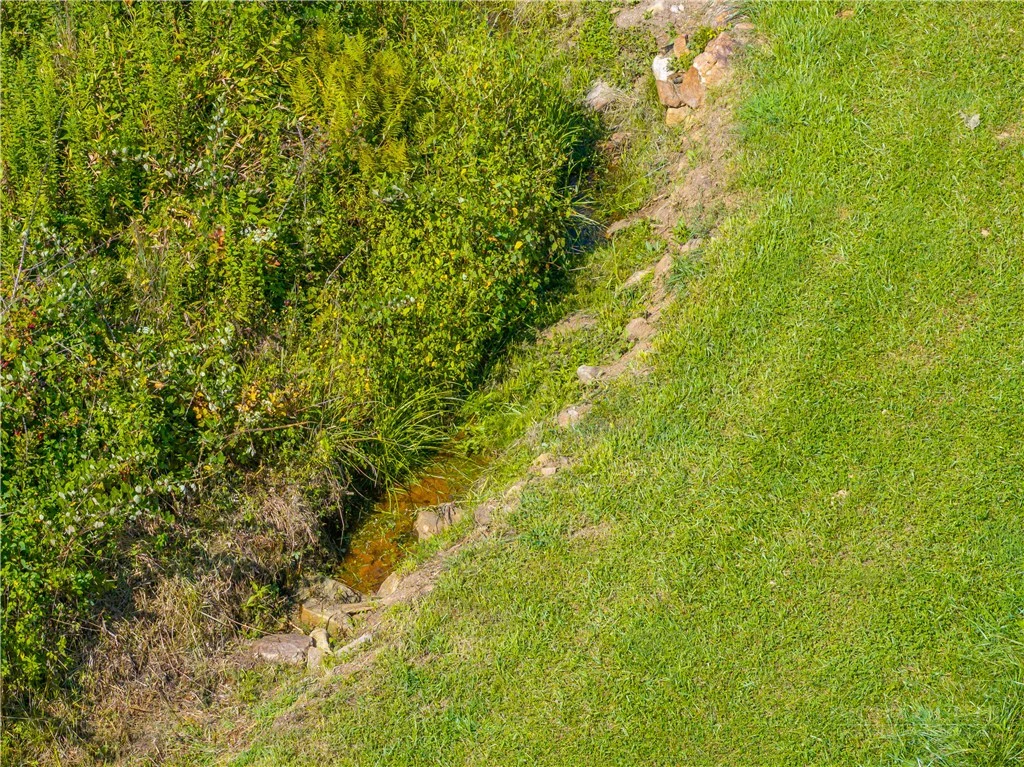 Image number 2 for the current listing