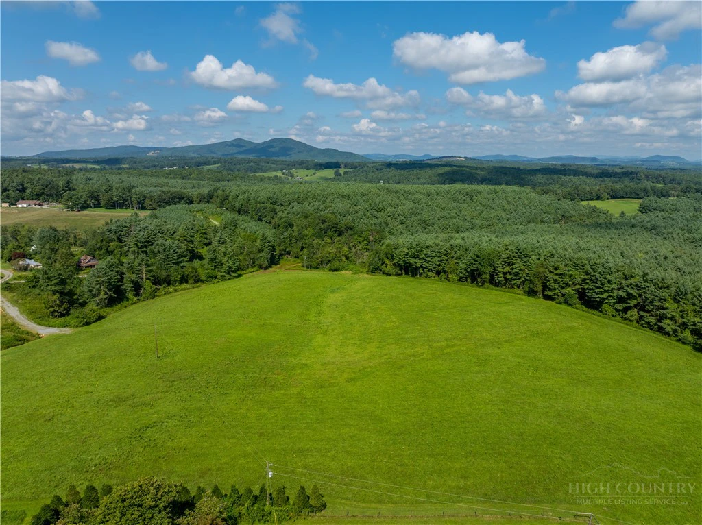 Image number 14 for the current listing