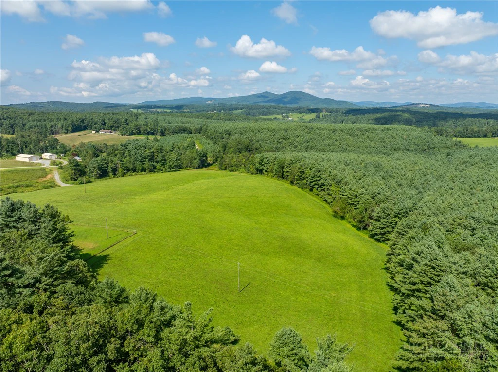 Image number 13 for the current listing