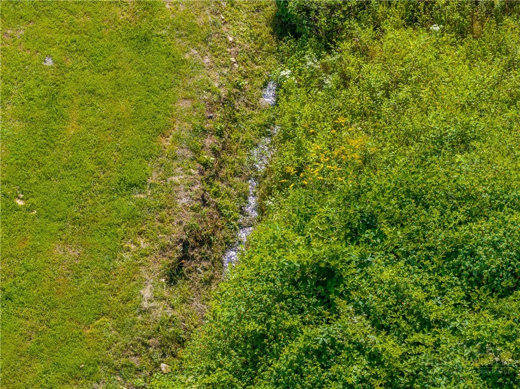 Image number 8 for the current listing
