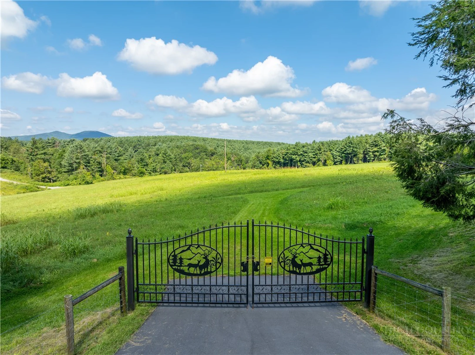 Image number 3 for the current listing
